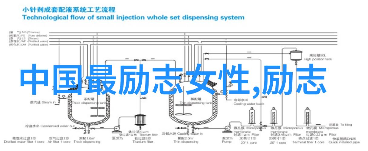 偶像名人文化研究解读当代娱乐产业中的象征意义与社会影响